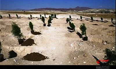 طرح هر نمازگزار، یک نهال در وحدتیه اجرا شد