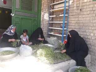 از خداحافظی با خاک تا اشتغال بانوان در محله اسلامی مهدیه شاهرود+ تصاویر