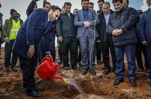 درخواست استاندار آذربایجان شرقی از مردم برای غرس نهال