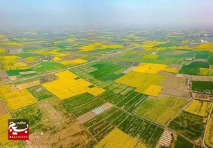 صدور ۳۵ هزار سند برای زمین&zwnj;های کشاورزی در شوشتر