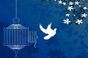 نوع دوستی و ایثار مادر شهید در جشن گلریزان در شهرستان طارم