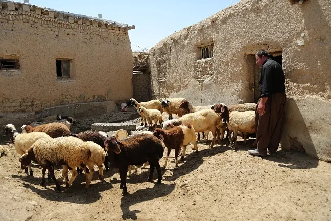 به برکتِ اقدامات جهادی «بنیاد برکت»؛ ۶۲۵۰ خانواده به روستاهای خود بازگشتند