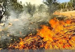 آتش سوزی در منطقه حفاظت شده خائیز کهگیلویه همچنان ادامه دارد