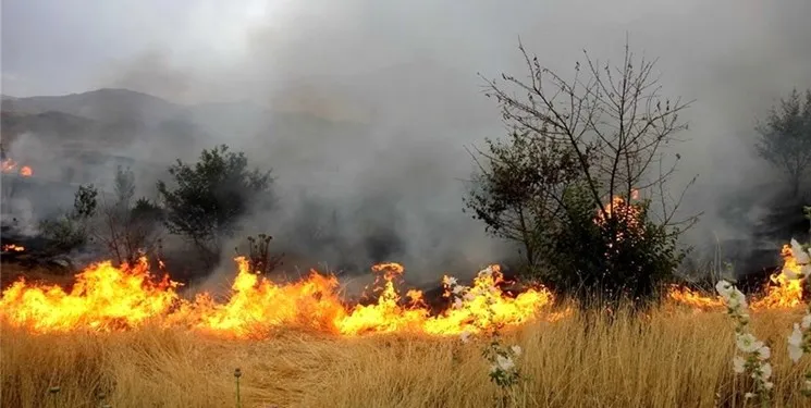 جدال با آتش در ارتفاعات کوه پهن