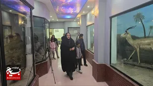 موزه تاریخ طبیعی محیط زیست نمایانگر تنوع اکوسیستمی حیات وحش سیستان وبلوچستان&nbsp;