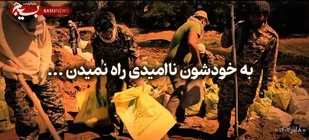 رهرو : تو این تفکر نا امیدی جایی نداره ...