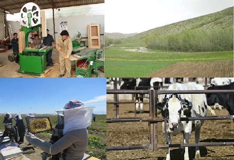 اجرای 319 طرح کارانگیزی برای مددجویان همدانی
