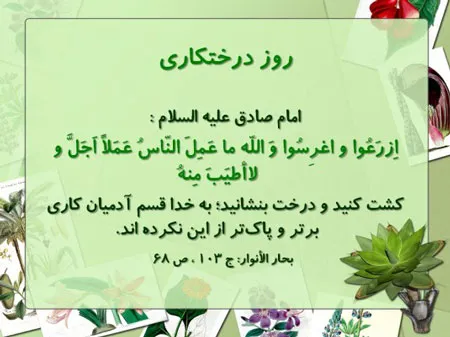 کاشت 230 هزار اصله نهال با یاد 230هزارشهید کشور در اصفهان