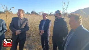 احداث پارک جنگلی ۸۵ هکتاری در شاهرود/غرس بیش از ۵۰ هزار درخت در پارک جنگلی