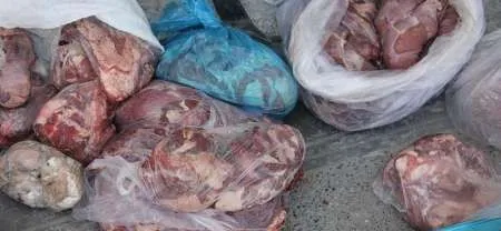 کشف 135 کیلوگرم ماهی و گوشت فاسد در استان همدان