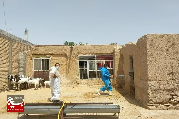 خدمت‌رسانی دانشجویان جهادگر گام دومی به مناطق کم‌برخوردار داراب