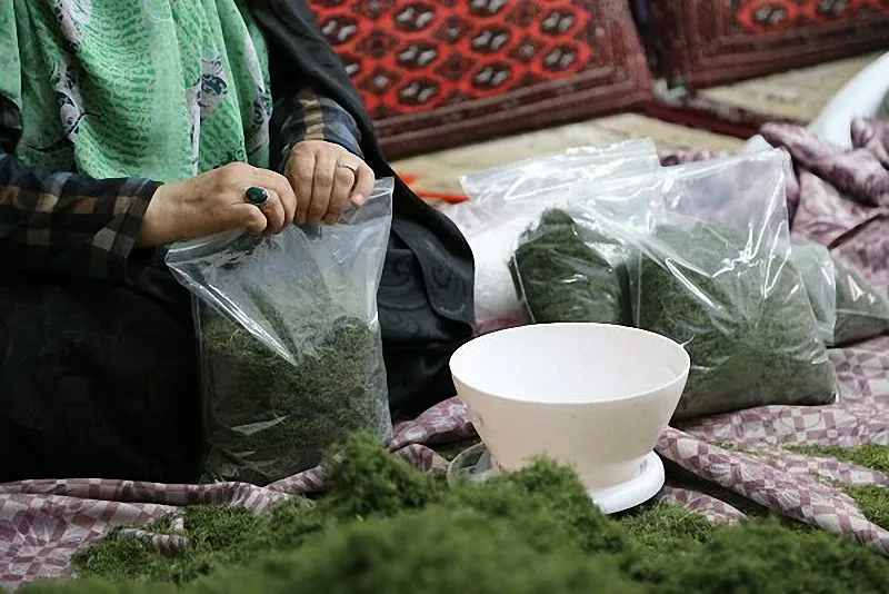 بسترسازی مجازی در تقویت اشتغال‌زایی و طرح اقتصاد مقاومتی