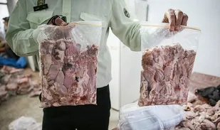 کشف ۸ تن گوشت فاسد در "ری"