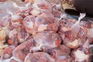 ذبح و توزیع ۲ رأس گوسفند به همت گروه جهادی پایگاه شهید حسین عدالتی همدان