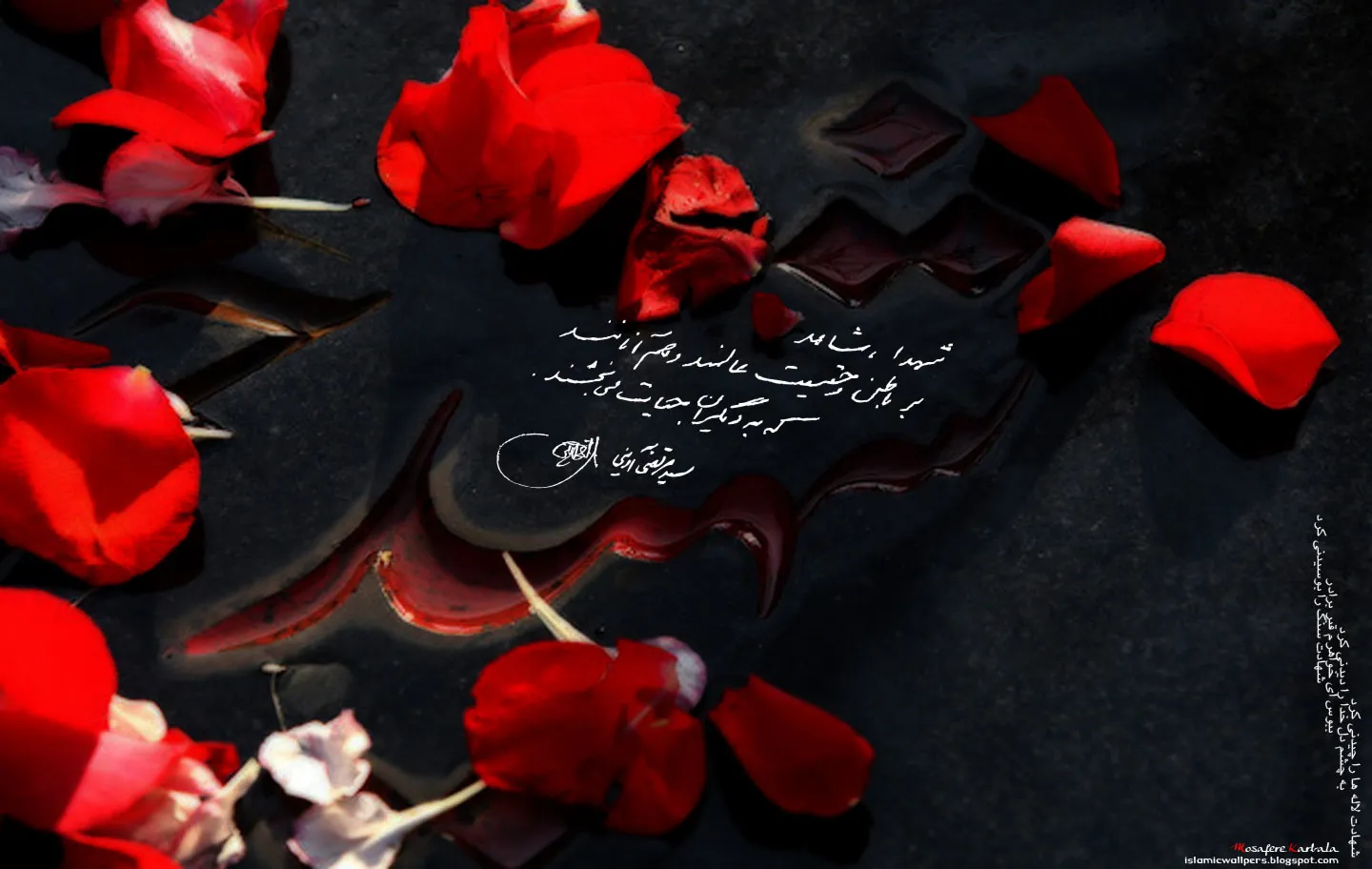 پدر شهید بهروز توانا به فرزند شهیدش پیوست