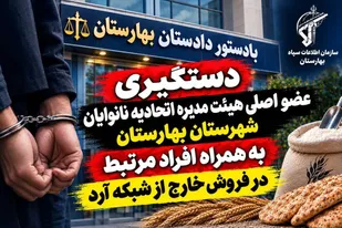ضربه اطلاعات سپاه به شبکه فروش آرد یارانه&zwnj;ای در بهارستان؛ عضو اتحادیه نانوایان بازداشت شد