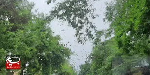 صدور هشدار هواشناسی سطح نارنجی در اردبیل