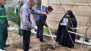 کاشت نهال در منزل شهیدان اذری نظر و ابراهیمی