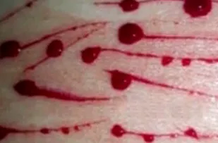 هشدار درباره انحرافات جدید دختران در فضای مجازی