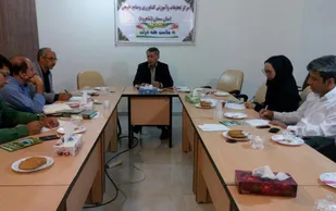 تامین ۱۰۰ درصد بذر اصلاح شده گندم و جو استان/ تولید سالانه سه میلیون نهال مثمر