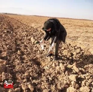 مدیریت پسماند؛ پلی از بحران زیست&zwnj;محیطی تا زمین پاک