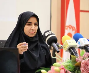 همکاری دولت و مجلس کلیدحل مشکلات است