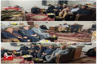 برادران بسیجی روستای اروانه از یک بیمار عیادت کردند