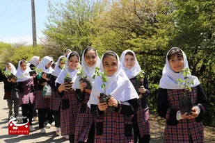 نهالستان کودک در منطقه جنگلی فندقلو نمین ایجاد شد
