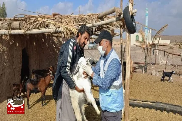 برگزاری اردوی جهادی دامپزشکی در بخش ایرندگان خاش