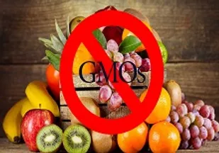 محصولات تراریخته برای نسل آینده خطرآفرین است