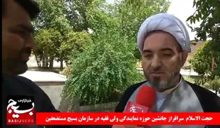 جانشین حوزه نمایندگی ولی فقیه در سازمان بسیج مستضعفین